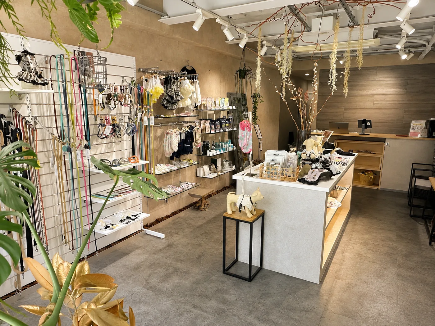 表参道のペット用品店FOREST TOKYOの実際の店内